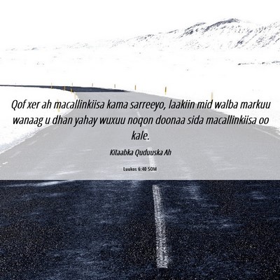 Picture 06 - Luukos 6:40 SOM - Qof xer ah macallinkiisa kama sarreeyo, laakiin - Bible Verse Picture