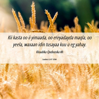 Picture 06 - Luukos 6:47 SOM - Kii kasta oo ii yimaada, oo ereyadayda maqla, oo - Bible Verse Picture