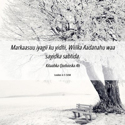 Picture 06 - Luukos 6:5 SOM - Markaasuu iyagii ku yidhi, Wiilka Aadanahu waa - Bible Verse Picture