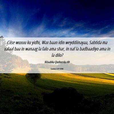 Picture 06 - Luukos 6:9 SOM - Ciise wuxuu ku yidhi, Wax baan idin weyddiinayaa, - Bible Verse Picture
