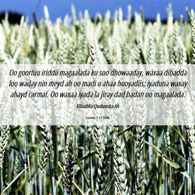Picture 06 - Luukos 7:12 SOM - Oo goortuu iriddii magaalada ku soo dhowaaday, - Bible Verse Picture