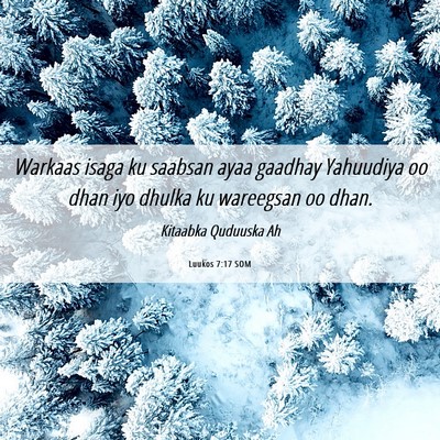 Picture 06 - Luukos 7:17 SOM - Warkaas isaga ku saabsan ayaa gaadhay Yahuudiya - Bible Verse Picture