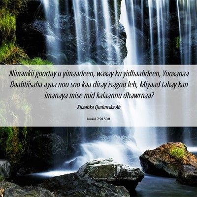 Picture 06 - Luukos 7:20 SOM - Nimankii goortay u yimaadeen, waxay ku - Bible Verse Picture
