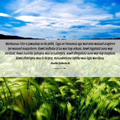 Picture 06 - Luukos 7:22 SOM - Markaasaa Ciise u jawaabay oo ku yidhi, Taga oo - Bible Verse Picture