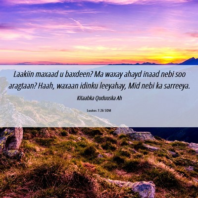 Picture 06 - Luukos 7:26 SOM - Laakiin maxaad u baxdeen? Ma waxay ahayd inaad - Bible Verse Picture
