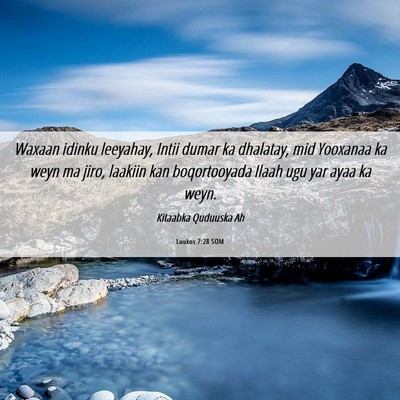 Picture 06 - Luukos 7:28 SOM - Waxaan idinku leeyahay, Intii dumar ka dhalatay, - Bible Verse Picture