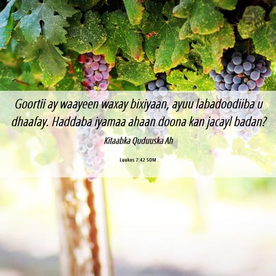 Picture 06 - Luukos 7:42 SOM - Goortii ay waayeen waxay bixiyaan, ayuu - Bible Verse Picture