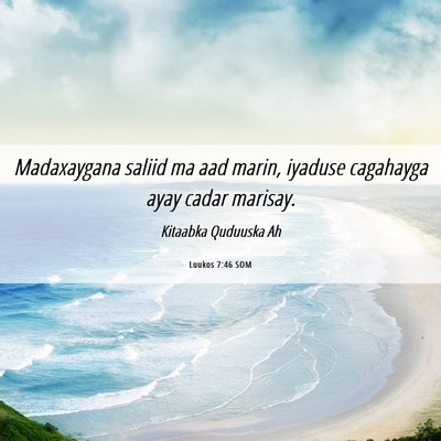 Picture 06 - Luukos 7:46 SOM - Madaxaygana saliid ma aad marin, iyaduse - Bible Verse Picture
