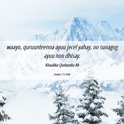 Picture 06 - Luukos 7:5 SOM - waayo, quruunteenna ayuu jecel yahay, oo sunagog - Bible Verse Picture