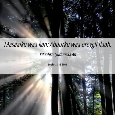 Picture 06 - Luukos 8:11 SOM - Masaalku waa kan: Abuurku waa ereygii - Bible Verse Picture