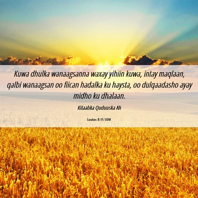 Picture 06 - Luukos 8:15 SOM - Kuwa dhulka wanaagsanna waxay yihiin kuwa, intay - Bible Verse Picture