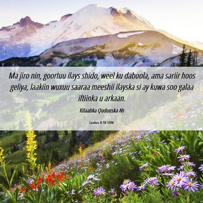 Picture 06 - Luukos 8:16 SOM - Ma jiro nin, goortuu ilays shido, weel ku - Bible Verse Picture