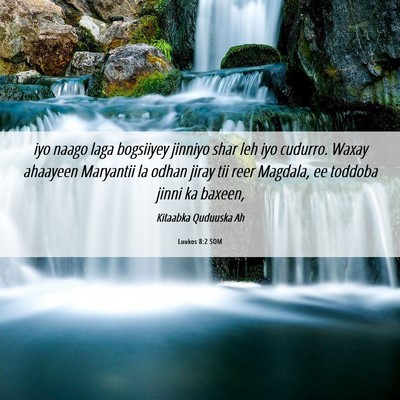 Picture 06 - Luukos 8:2 SOM - iyo naago laga bogsiiyey jinniyo shar leh iyo - Bible Verse Picture