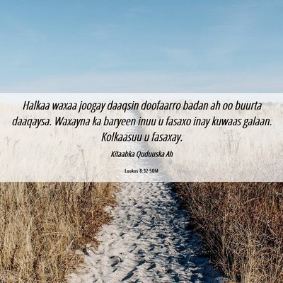 Picture 06 - Luukos 8:32 SOM - Halkaa waxaa joogay daaqsin doofaarro badan ah oo - Bible Verse Picture