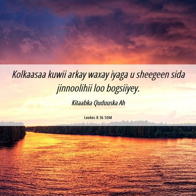 Picture 06 - Luukos 8:36 SOM - Kolkaasaa kuwii arkay waxay iyaga u sheegeen sida - Bible Verse Picture