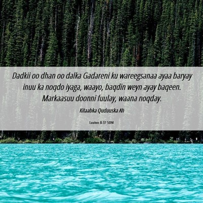 Picture 06 - Luukos 8:37 SOM - Dadkii oo dhan oo dalka Gadareni ku wareegsanaa - Bible Verse Picture