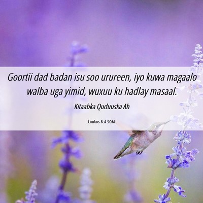 Picture 06 - Luukos 8:4 SOM - Goortii dad badan isu soo urureen, iyo kuwa - Bible Verse Picture