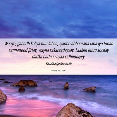 Picture 06 - Luukos 8:42 SOM - Waayo, gabadh keliya buu lahaa, iyadoo abbaaraha - Bible Verse Picture