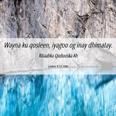 Picture 06 - Luukos 8:53 SOM - Wayna ku qosleen, iyagoo og inay - Bible Verse Picture