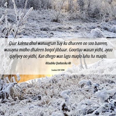 Picture 06 - Luukos 8:8 SOM - Qaar kalena dhul wanaagsan bay ku dhaceen oo soo - Bible Verse Picture