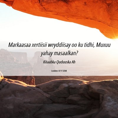 Picture 06 - Luukos 8:9 SOM - Markaasaa xertiisii weyddiisay oo ku tidhi, Muxuu - Bible Verse Picture