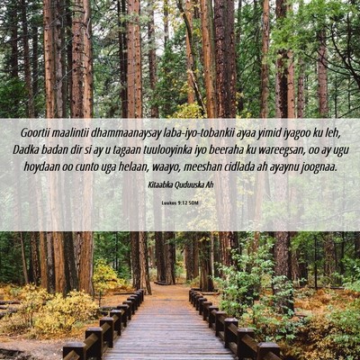 Picture 06 - Luukos 9:12 SOM - Goortii maalintii dhammaanaysay laba-iyo-tobankii - Bible Verse Picture