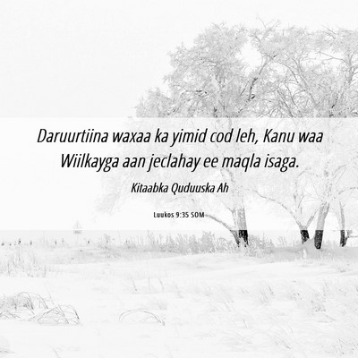 Picture 06 - Luukos 9:35 SOM - Daruurtiina waxaa ka yimid cod leh, Kanu waa - Bible Verse Picture