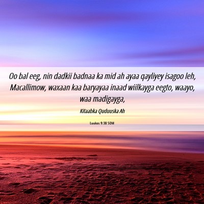 Picture 06 - Luukos 9:38 SOM - Oo bal eeg, nin dadkii badnaa ka mid ah ayaa - Bible Verse Picture