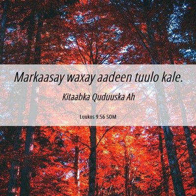 Picture 06 - Luukos 9:56 SOM - Markaasay waxay aadeen tuulo - Bible Verse Picture