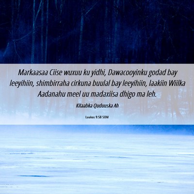 Picture 06 - Luukos 9:58 SOM - Markaasaa Ciise wuxuu ku yidhi, Dawacooyinku - Bible Verse Picture