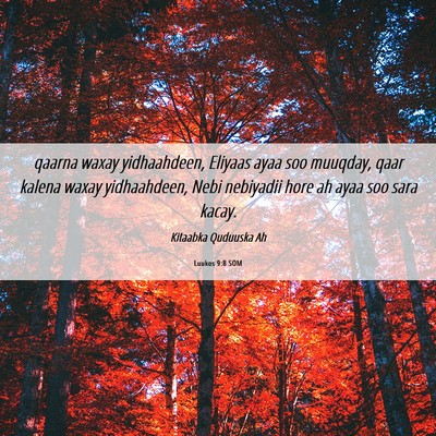 Picture 06 - Luukos 9:8 SOM - qaarna waxay yidhaahdeen, Eliyaas ayaa soo - Bible Verse Picture