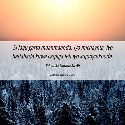 Picture 06 - Maahmaahyadii 1:6 SOM - Si lagu garto maahmaahda, iyo micnaynta, Iyo - Bible Verse Picture