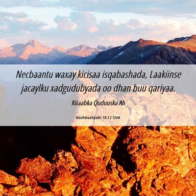 Picture 06 - Maahmaahyadii 10:12 SOM - Necbaantu waxay kicisaa isqabashada, Laakiinse - Bible Verse Picture