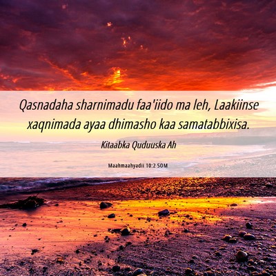 Picture 06 - Maahmaahyadii 10:2 SOM - Qasnadaha sharnimadu faa'iido ma leh, Laakiinse - Bible Verse Picture