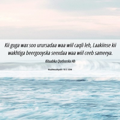 Picture 06 - Maahmaahyadii 10:5 SOM - Kii guga wax soo urursadaa waa wiil caqli leh, - Bible Verse Picture