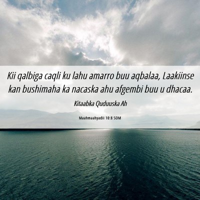 Picture 06 - Maahmaahyadii 10:8 SOM - Kii qalbiga caqli ku lahu amarro buu aqbalaa, - Bible Verse Picture