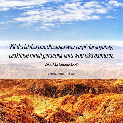 Picture 06 - Maahmaahyadii 11:12 SOM - Kii deriskiisa quudhsadaa waa caqli daranyahay, - Bible Verse Picture
