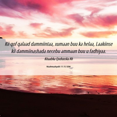 Picture 06 - Maahmaahyadii 11:15 SOM - Kii qof qalaad dammiintaa, xumaan buu ka helaa, - Bible Verse Picture