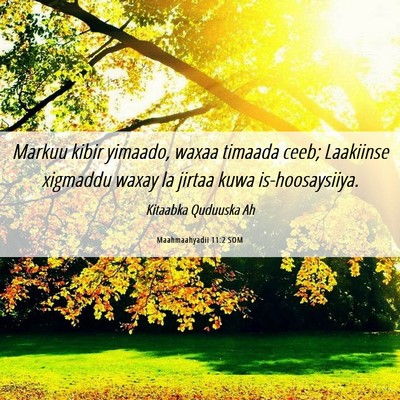 Picture 06 - Maahmaahyadii 11:2 SOM - Markuu kibir yimaado, waxaa timaada ceeb; - Bible Verse Picture