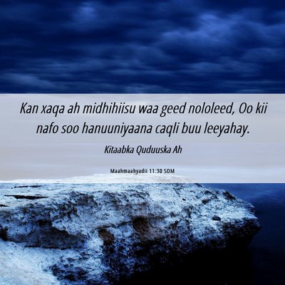 Picture 06 - Maahmaahyadii 11:30 SOM - Kan xaqa ah midhihiisu waa geed nololeed, Oo kii - Bible Verse Picture