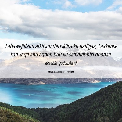 Picture 06 - Maahmaahyadii 11:9 SOM - Labawejiilahu afkiisuu deriskiisa ku halligaa, - Bible Verse Picture