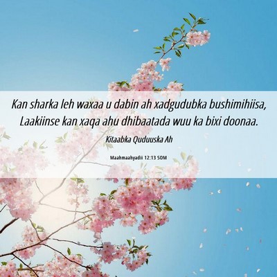 Picture 06 - Maahmaahyadii 12:13 SOM - Kan sharka leh waxaa u dabin ah xadgudubka - Bible Verse Picture