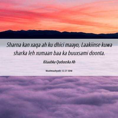 Picture 06 - Maahmaahyadii 12:21 SOM - Sharna kan xaqa ah ku dhici maayo, Laakiinse kuwa - Bible Verse Picture