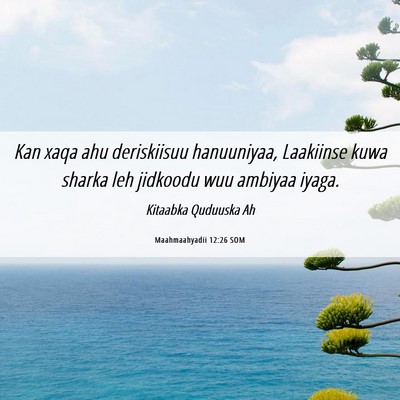 Picture 06 - Maahmaahyadii 12:26 SOM - Kan xaqa ahu deriskiisuu hanuuniyaa, Laakiinse - Bible Verse Picture