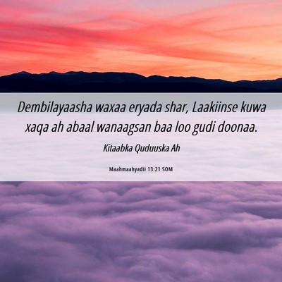 Picture 06 - Maahmaahyadii 13:21 SOM - Dembilayaasha waxaa eryada shar, Laakiinse kuwa - Bible Verse Picture