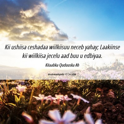 Picture 06 - Maahmaahyadii 13:24 SOM - Kii ushiisa ceshadaa wiilkiisuu neceb yahay; - Bible Verse Picture