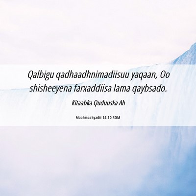 Picture 06 - Maahmaahyadii 14:10 SOM - Qalbigu qadhaadhnimadiisuu yaqaan, Oo shisheeyena - Bible Verse Picture