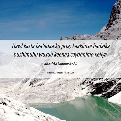 Picture 06 - Maahmaahyadii 14:23 SOM - Hawl kasta faa'iidaa ku jirta, Laakiinse hadalka - Bible Verse Picture