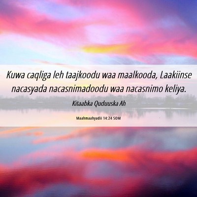 Picture 06 - Maahmaahyadii 14:24 SOM - Kuwa caqliga leh taajkoodu waa maalkooda, - Bible Verse Picture
