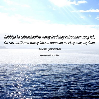 Picture 06 - Maahmaahyadii 14:26 SOM - Rabbiga ka cabsashadiisu waxay leedahay - Bible Verse Picture